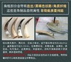 【牦牛按摩牛角梳】甄选牦牛角梳按摩点穴头部经络梳头疗梳洗头按摩洗发刷顺发梳子滋养头皮 商品缩略图2