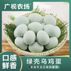 广视农场绿壳乌鸡蛋 口感鲜香30枚装 产地直发 新鲜到家 商品缩略图0
