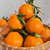 周二取货：【大雅柑】一份4斤左右，浓甜爆汁，果肉嫩，果味浓郁。 商品缩略图0