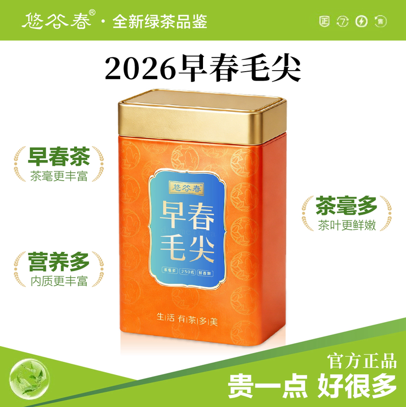 2026新茶• 早春毛尖250克 全是茶毛毛的好茶