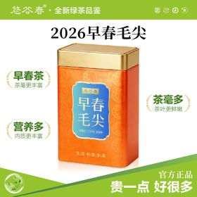 2026新茶• 早春毛尖250克 全是茶毛毛的好茶