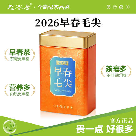 2026新茶• 早春毛尖250克 全是茶毛毛的好茶 商品图0