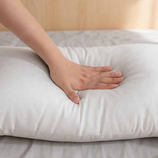 【水星家纺】臻享抗菌对枕 商品图3