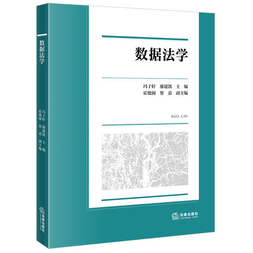 数据法学 冯子轩 廖建凯主编 霍俊阁 贺嘉副主编 法律出版社 商品图0