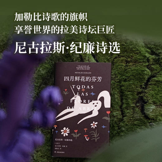 【原野诗丛】四月鲜花的芬芳：尼古拉斯·纪廉诗选 商品图0
