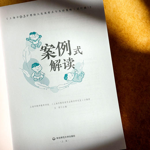 《上海市0-3岁婴幼儿发展要点与支持策略（试行稿）》案例式解读 托班观察与照护 家园共育 幼教手边书 商品图5