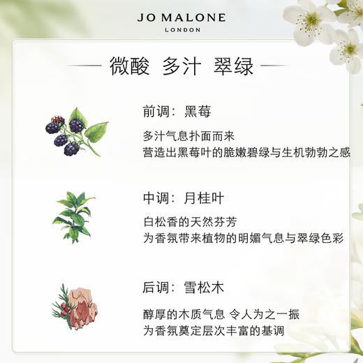 祖玛珑香水（黑莓与月桂叶香型） 100ml 有效期至【2027-1-1】介意勿拍 商品图1