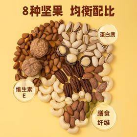 洽洽维多力每日坚果乳 植物蛋白饮料240ml*24整箱