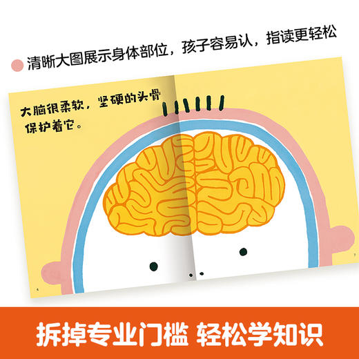 乐乐趣 身体大发现 （16）册套装 点读版 商品图8