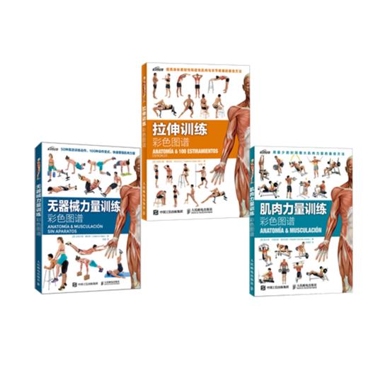 拉伸训练彩色图谱+肌肉力量训练彩色图谱+无器械力量训练彩色图谱 套装3册 多sku 商品图0