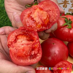 【美味生鲜丨普罗旺斯水果西红柿4.5斤装】 高标准培育，自然成熟无激素，当日采摘发货，确保番茄新鲜度，果香浓郁沙瓤多汁，皮薄肉厚，汁水丰沛，孕妇宝宝都能吃，满口都是小时候的味道