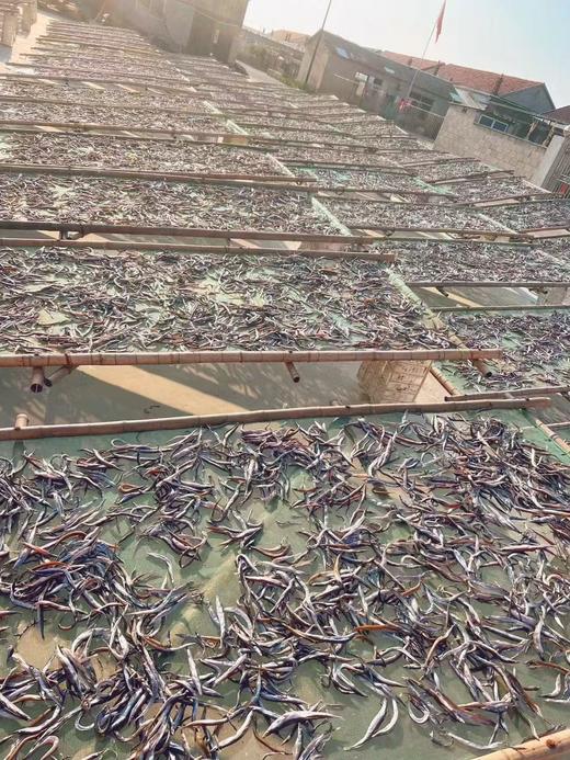 带籽银鱼干（油滚子） 自然晾晒，原汁原味🤔掰开银鱼干，那一抹金黄的鱼籽或银白的鱼膏映入眼帘。热油炒香，或和小菜一起伴着吃，或炸着吃，都非常的美味😋😋 个大肉厚，带籽率高。 1袋250g全国包邮 商品图6