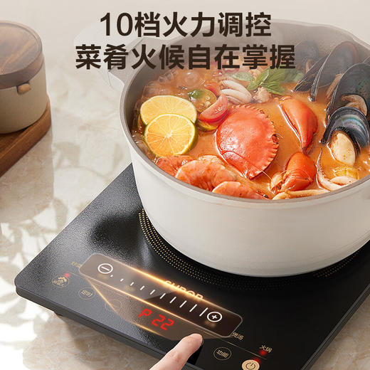 SUPOR/苏泊尔  超猛火家用电磁炉电陶炉新型电磁灶炒菜一体面板C22-IA822D 商品图1