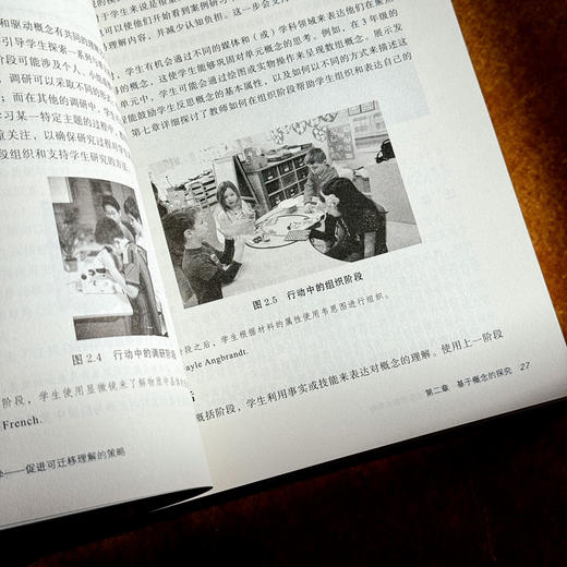 概念探究教学 促进可迁移理解的策略 大夏书系 培养学习力译丛 深度学习 商品图10
