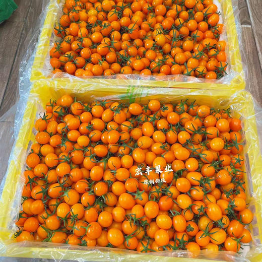 【宏丰精选】黄金千禧新鲜到货，口感很好，纯甜，活动价15.8元一斤 商品图6