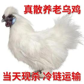正宗泰和原种乌鸡现杀现发整只发货 顺丰京东冷链发货750g左右/*3只