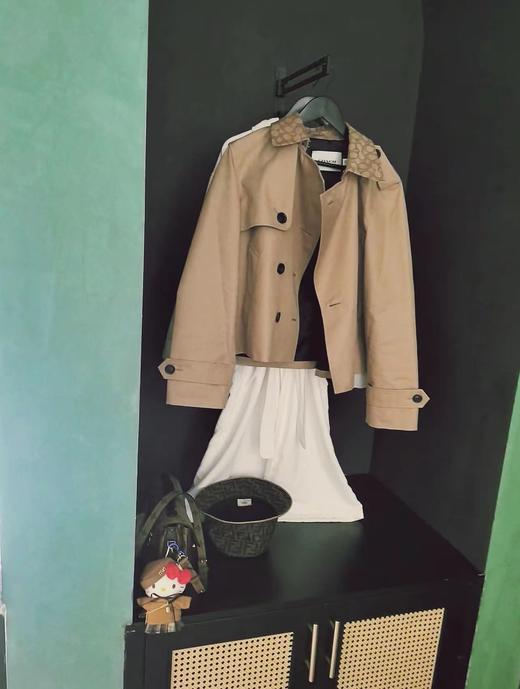 F031849春季新款短款老花卡其色短款巴恩风外套风衣 商品图6