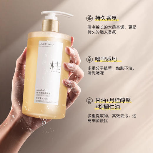 植萃香氛洗手液家用按压瓶清香型家庭装持久留香温和清洁孕婴可用 商品图1