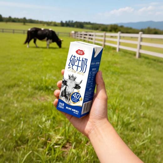 雪宝4.0纯牛奶 商品图1