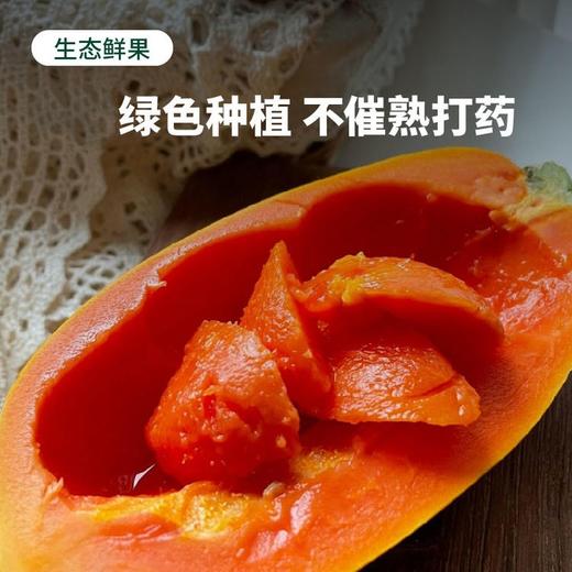 【树上自然熟】海南·红心牛奶木瓜 顺丰/京东发货 商品图3