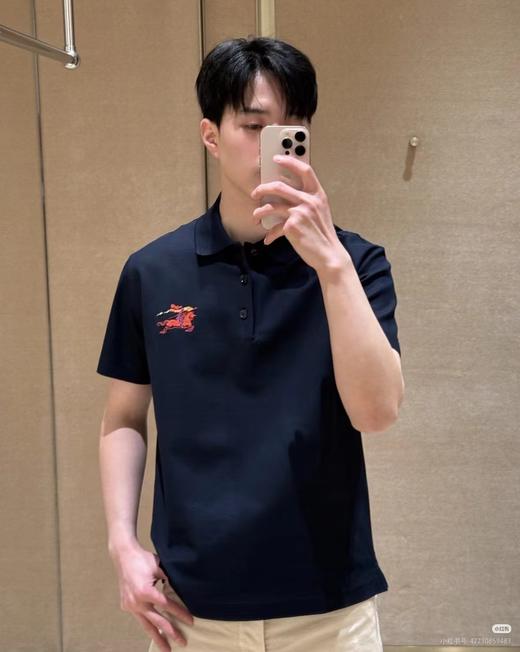 F031828新款胸前战马植绒刺绣徽标设计舒适吸汗透气polo衫T恤 商品图4