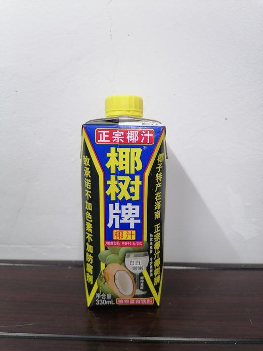 椰树牌椰汁 商品图0