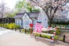 韩国樱花主题三飞8天摄影团：  济州岛、镇海、釜山、首尔的粉雪世界里定格浪漫光影 商品缩略图7