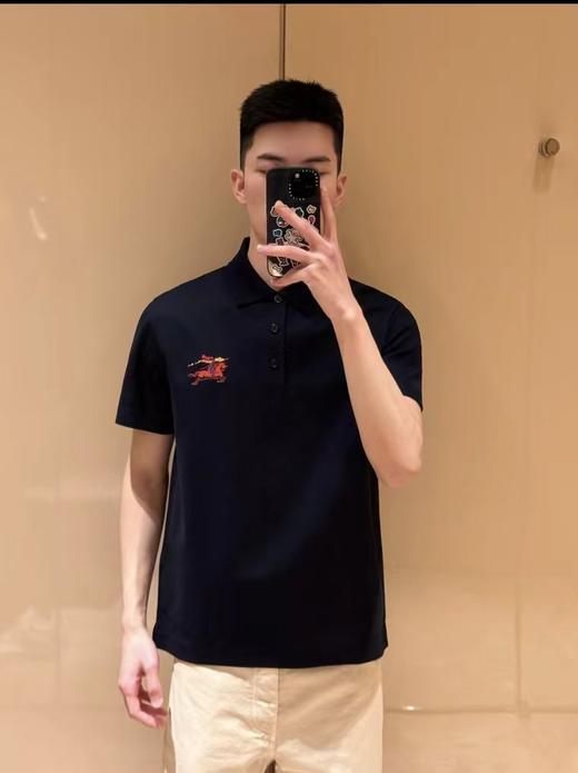 F031828新款胸前战马植绒刺绣徽标设计舒适吸汗透气polo衫T恤 商品图6