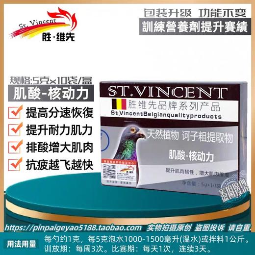 【肌酸―核动力】粉5g*10袋，增大肌肉、提升肌力、快速恢复、越飞越快（胜维先） 商品图0