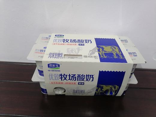 君乐宝优致牧场酸奶 商品图0
