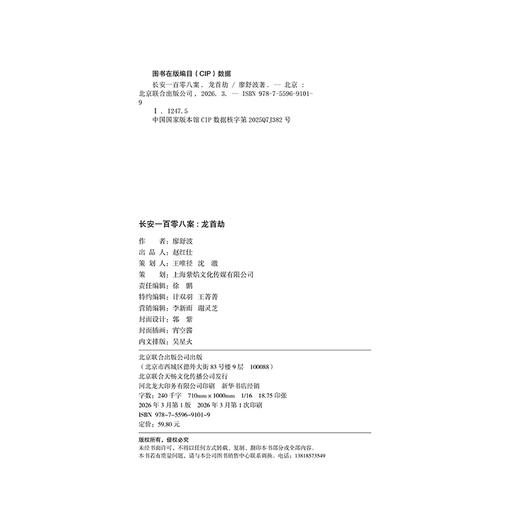 长安一百零八案 : 龙首劫 商品图4