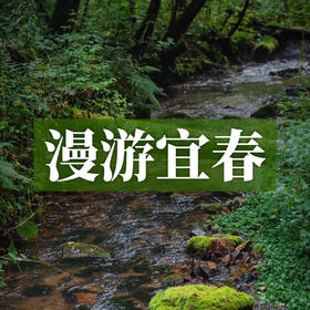 【十人专属】边玩边养老丨漫游宜春，沉醉天然温泉，尽览云海草甸，深度体验千古柔情！