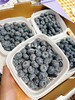 宏丰精选 云南花香蓝莓，口感纯甜，超级好吃，活动价39.9一桶 商品缩略图10