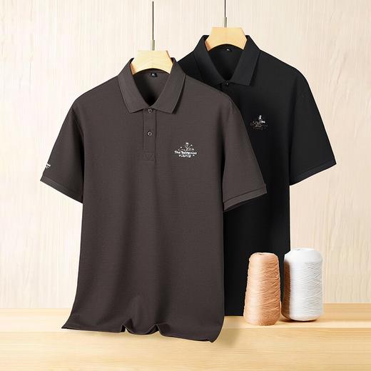 【DK】大依优型大码男装夏季polo领短袖T恤速干透气商务百搭短袖上衣 商品图2