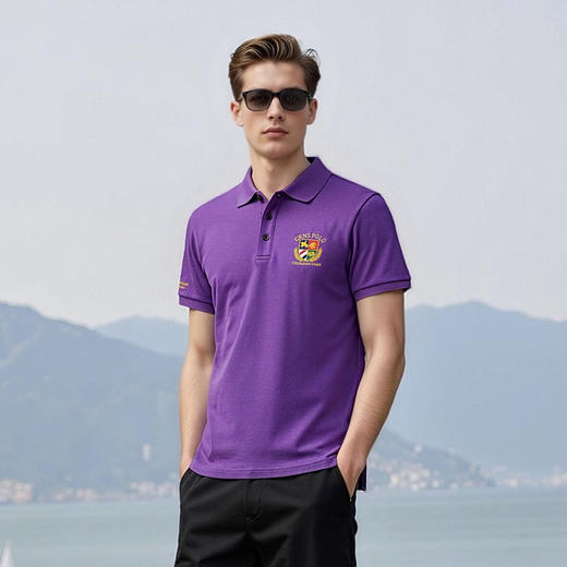 100%棉男装短袖T恤夏季高档polo衫翻领休闲男上衣   XLM-CM8687191 商品图1