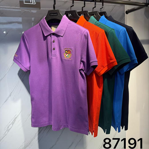 100%棉男装短袖T恤夏季高档polo衫翻领休闲男上衣   XLM-CM8687191 商品图7
