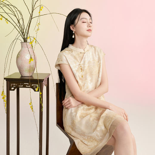 【溪风晚月】三彩2026夏季新款短袖立领连衣裙新中式A字裙宽松C 商品图2