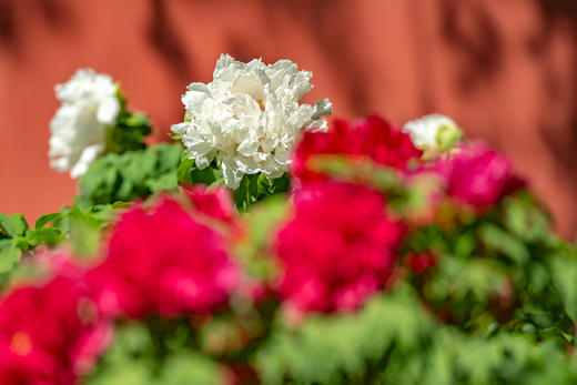 4月7日【北京】春日皇城七百年繁华盛世5天（筑梦中国8人封顶） 商品图1