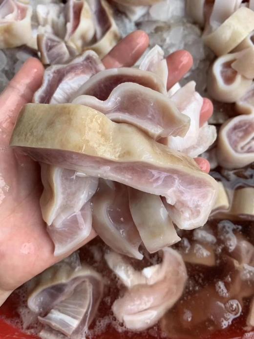 一鱼一肚，公认的脆爽鲨鱼肚  ✅ 商品图1