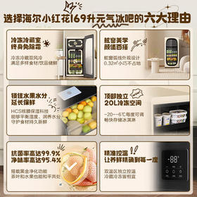 海尔（Haier）小红花169升冰吧家用冷藏保鲜柜客厅大容量小冰箱冰柜双温风冷无霜一级能效LC-169WLH9EY1换新补贴