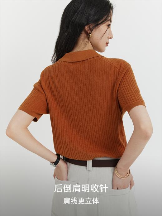 夏日老钱真丝羊绒短袖毛衫 FCG1WST047 商品图3