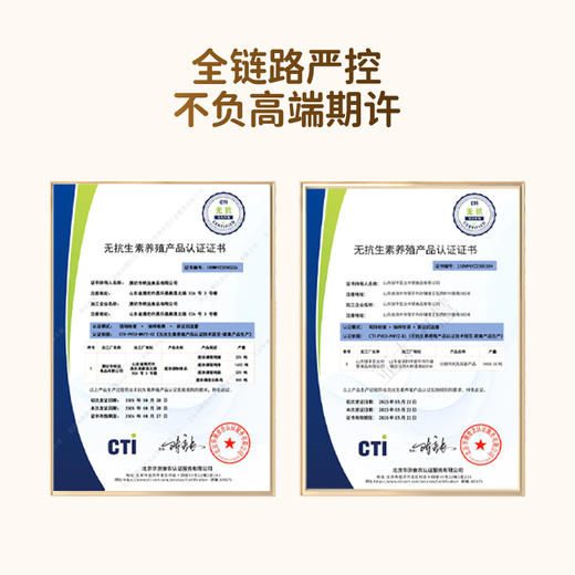 头厨香煎山茶油鸡排鸡胸肉非油炸儿童健康轻食冷冻速食半成品 商品图9