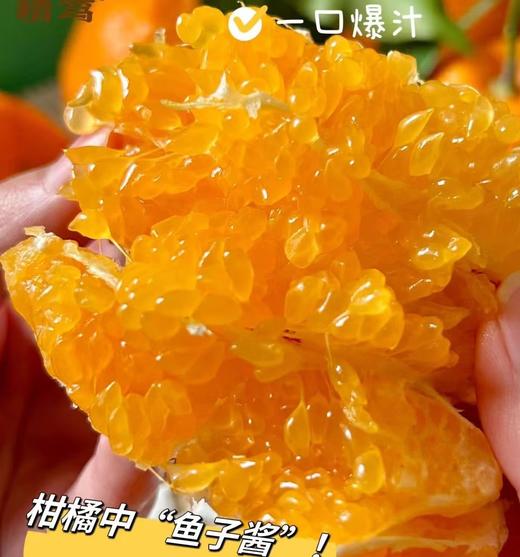 周二取货：【大雅柑】一份4斤左右，浓甜爆汁，果肉嫩，果味浓郁。 商品图2