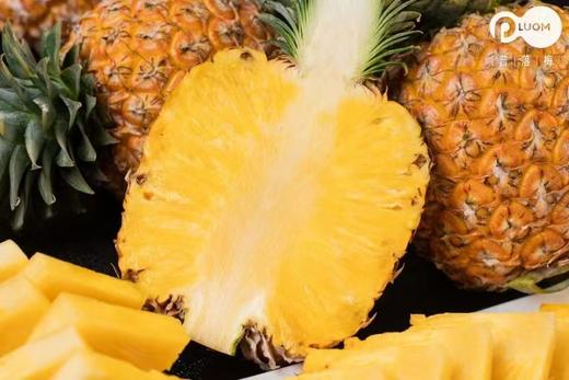 【会员39.5/颗】海南空运芒果凤梨 大果 3斤左右/颗 商品图4