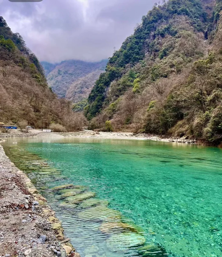 1773041751939105.jpg 15.jpg