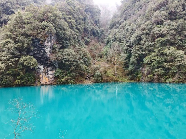 1773039596775390.jpg 1.jpg