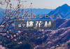 1日｜桃花林｜一路山桃花の燕京八景之一银山塔林-桃花林10公里穿越<初级> 商品缩略图0