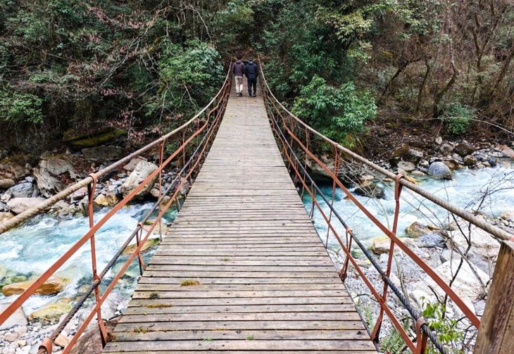 1773039600253115.jpg 4.jpg