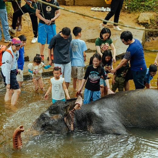 【暑假】何以锡兰，殖民印迹下斯里兰卡动物王国探险safari【灵迹】7天6晚 商品图1