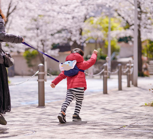 AngelDEPT.进口防走失包 商品图2